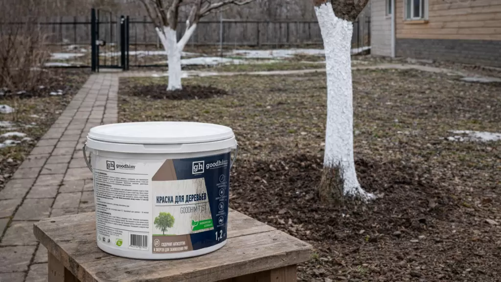 Побелка деревьев. Защита от вредителей и древоточцев