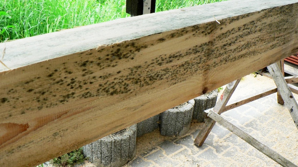 антисептик для дерева